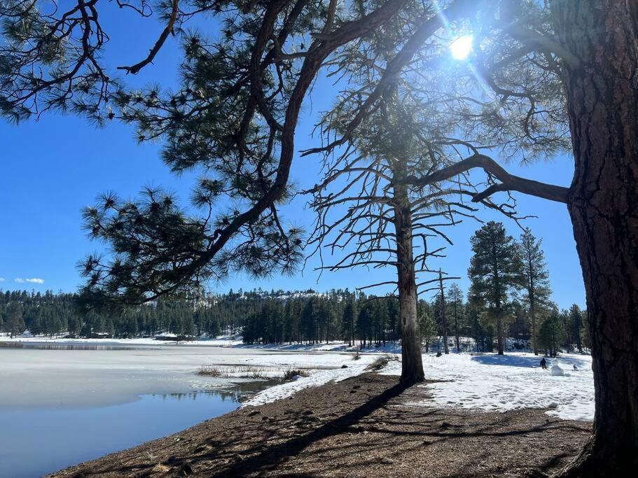 The Bluejay Cabin At Munds Park, Az! セドナ エクステリア 写真