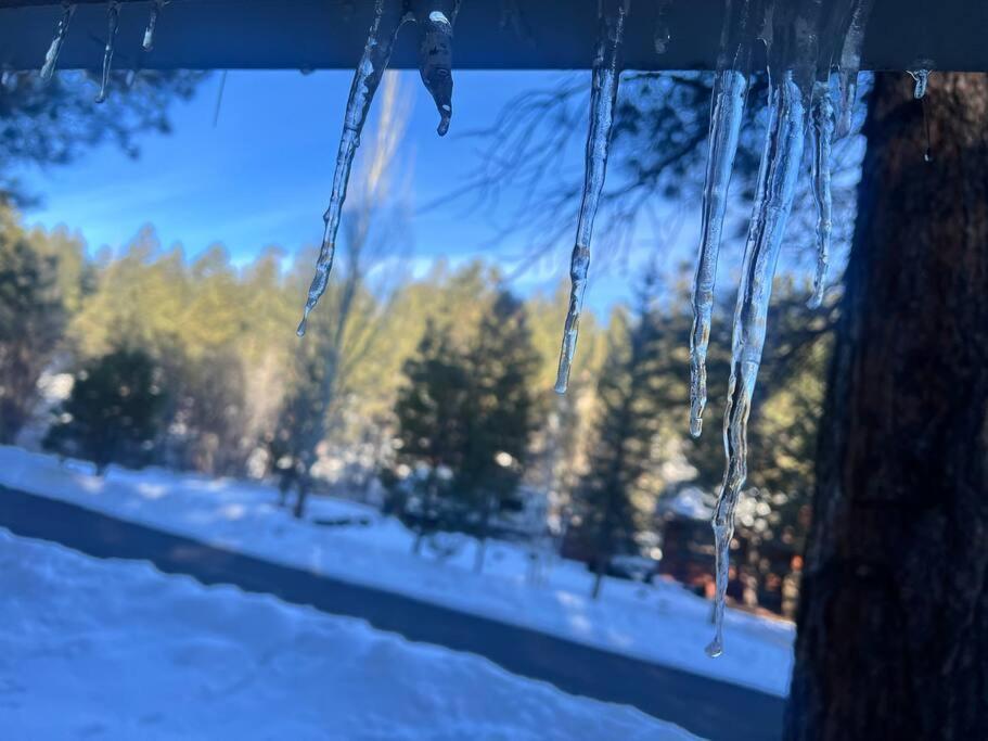 The Bluejay Cabin At Munds Park, Az! セドナ エクステリア 写真