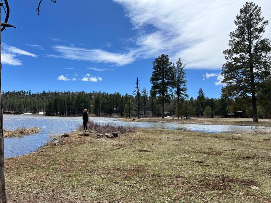 The Bluejay Cabin At Munds Park, Az! セドナ エクステリア 写真