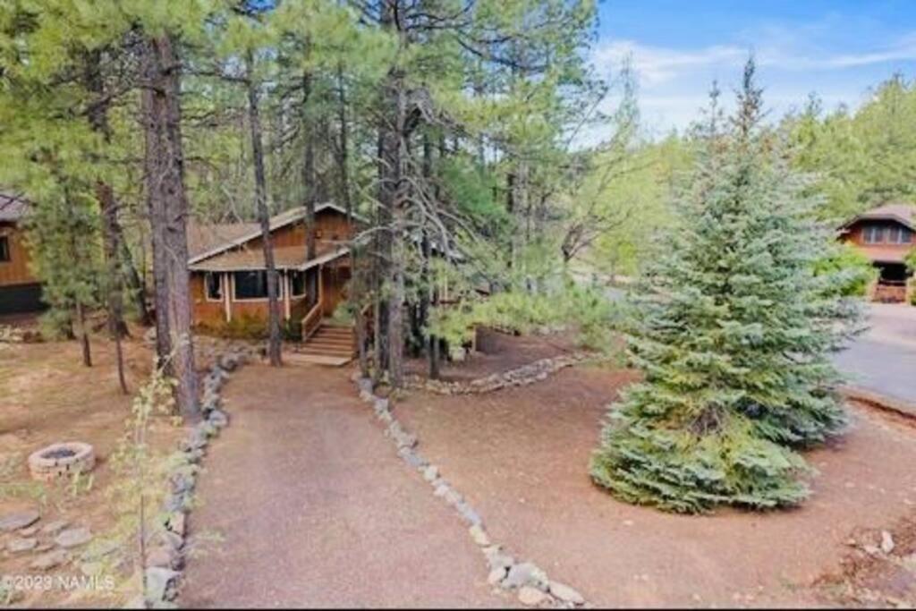 The Bluejay Cabin At Munds Park, Az! セドナ エクステリア 写真