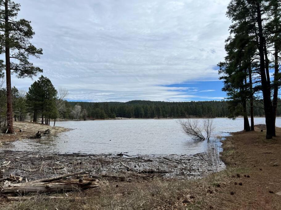 The Bluejay Cabin At Munds Park, Az! セドナ エクステリア 写真